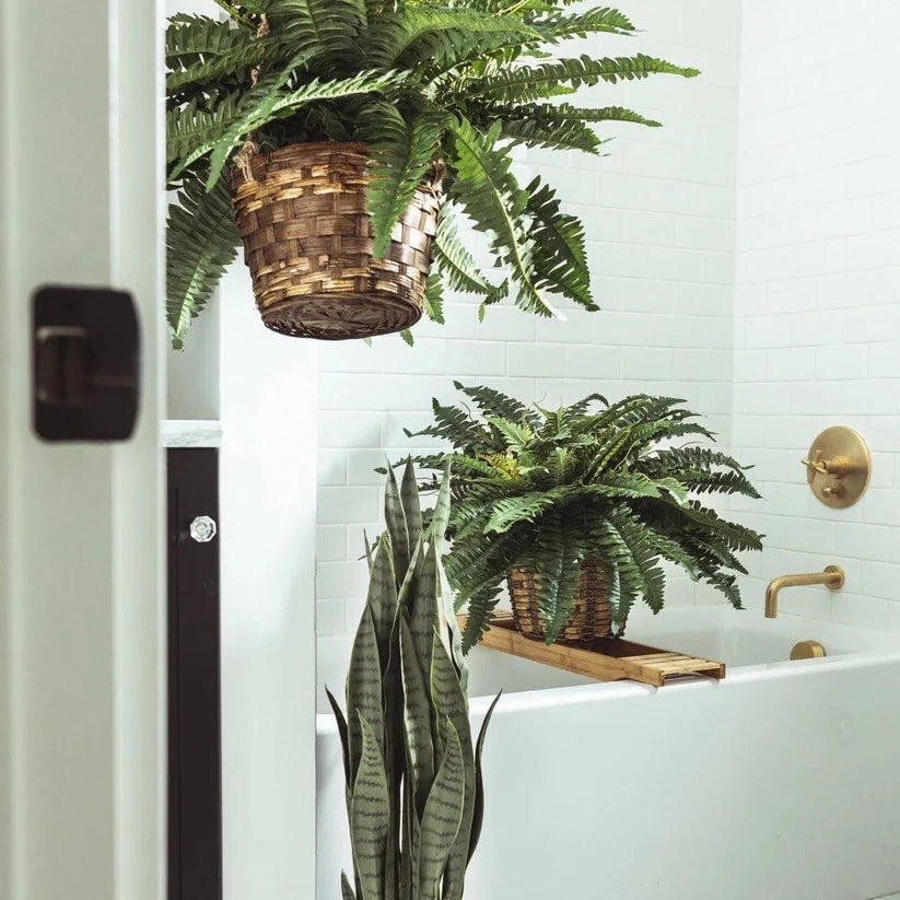 🏡【Chosen by millions of families🏆】Artificial Hanging Fern Plant🌿 – Effortless Greenery for Home & Garden,Beautify your living space-8SA8