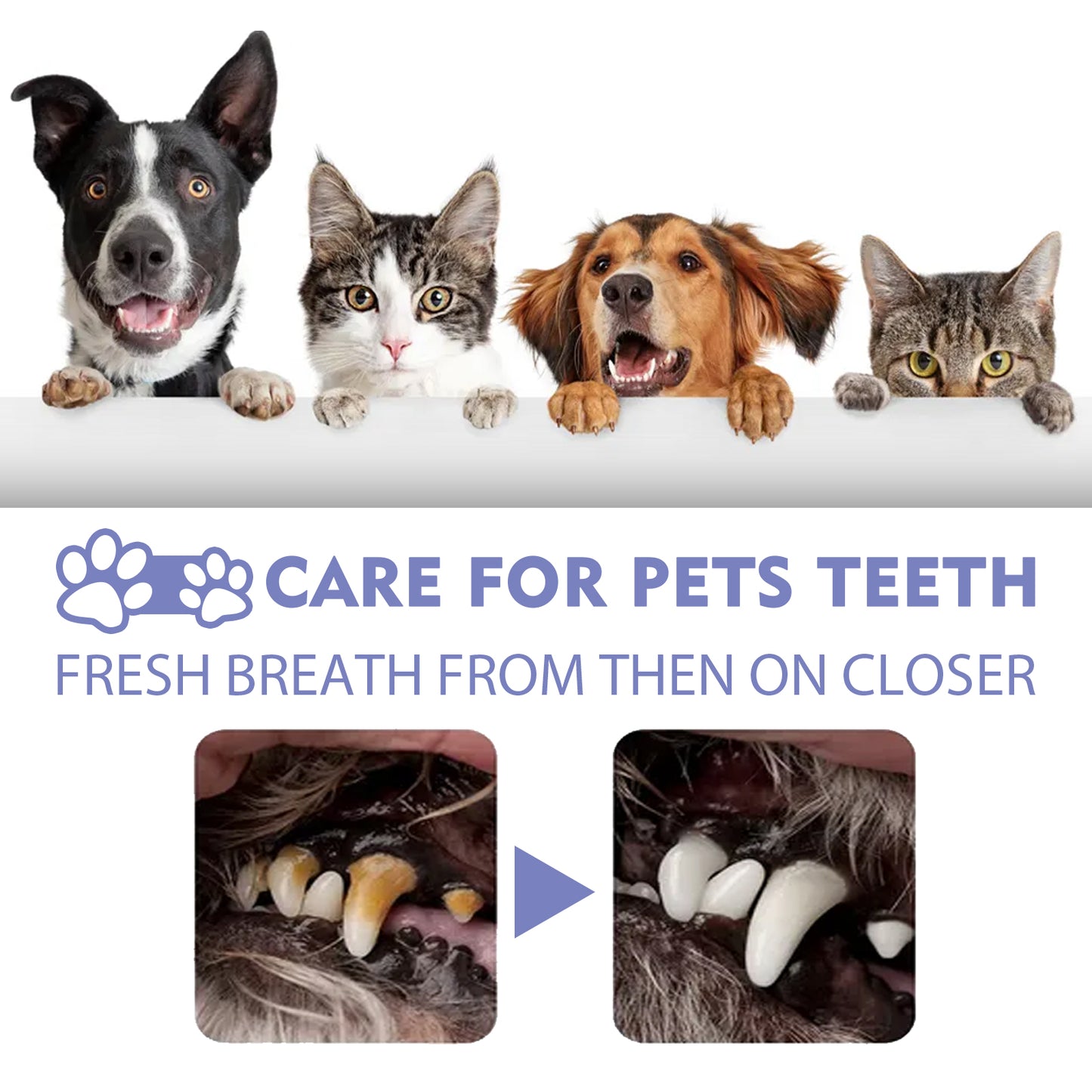🐱🦷Yegbong Pet Dental Cleaning Spray for Dogs & Cats, Removes Plaque & Stains, Freshens Breath, Oral Care Spray-8SA8