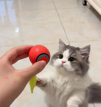 🏆2026 New Upgrade SPEEDY TAIL 2.0 🐾 The Interactive Toy Pets Can't Stop Chasing -8RH7