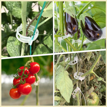 🥦🌽Secured Plastic Plant Clips🥕| Reusable Vine & Stem Support, Weatherproof Garden Clips for Tomato, Cucumber & Climbing Plants🥒🍅-8HJ9