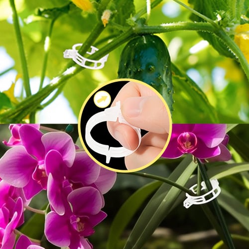 🥦🌽Secured Plastic Plant Clips🥕| Reusable Vine & Stem Support, Weatherproof Garden Clips for Tomato, Cucumber & Climbing Plants🥒🍅-8HJ9
