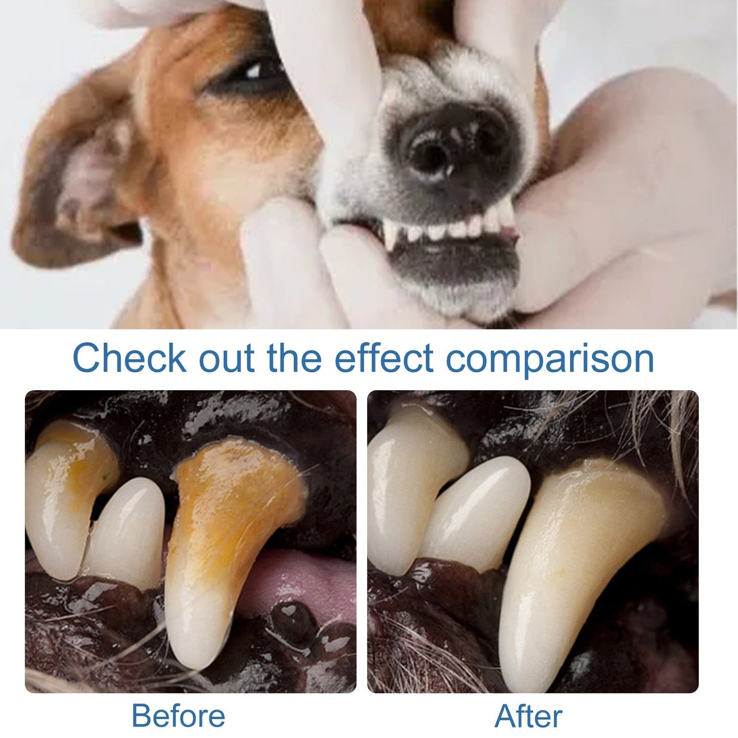 🔥Dog & Cat Tartar Remover Foam, Fresh Breath Oral Care Spray, Healthy Pet Teeth Without Brushing-8RH7