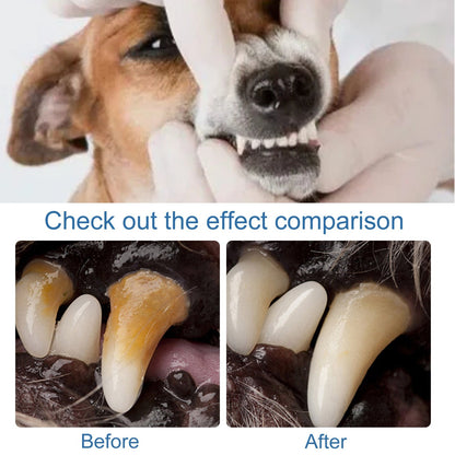 🔥Dog & Cat Tartar Remover Foam, Fresh Breath Oral Care Spray, Healthy Pet Teeth Without Brushing-8RH7