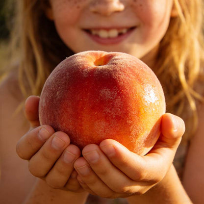 🔥 65K+ SOLD! 🍑 Heirloom "Honey Red" Dwarf Peach Tree Live Seeds -8CR5