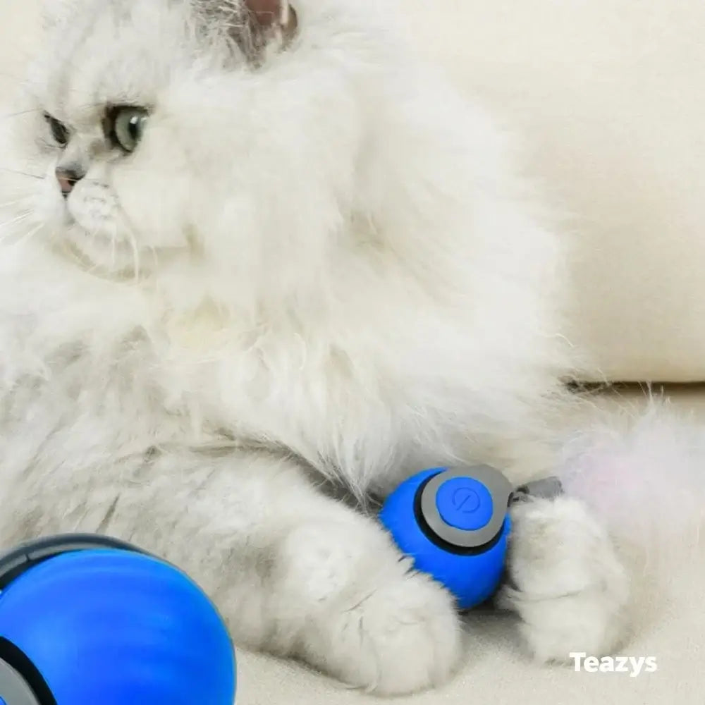 🏆2026 New Upgrade SPEEDY TAIL 2.0 🐾 The Interactive Toy Pets Can't Stop Chasing -8RH7