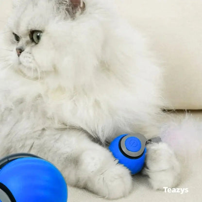 🏆2026 New Upgrade SPEEDY TAIL 2.0 🐾 The Interactive Toy Pets Can't Stop Chasing -8RH7