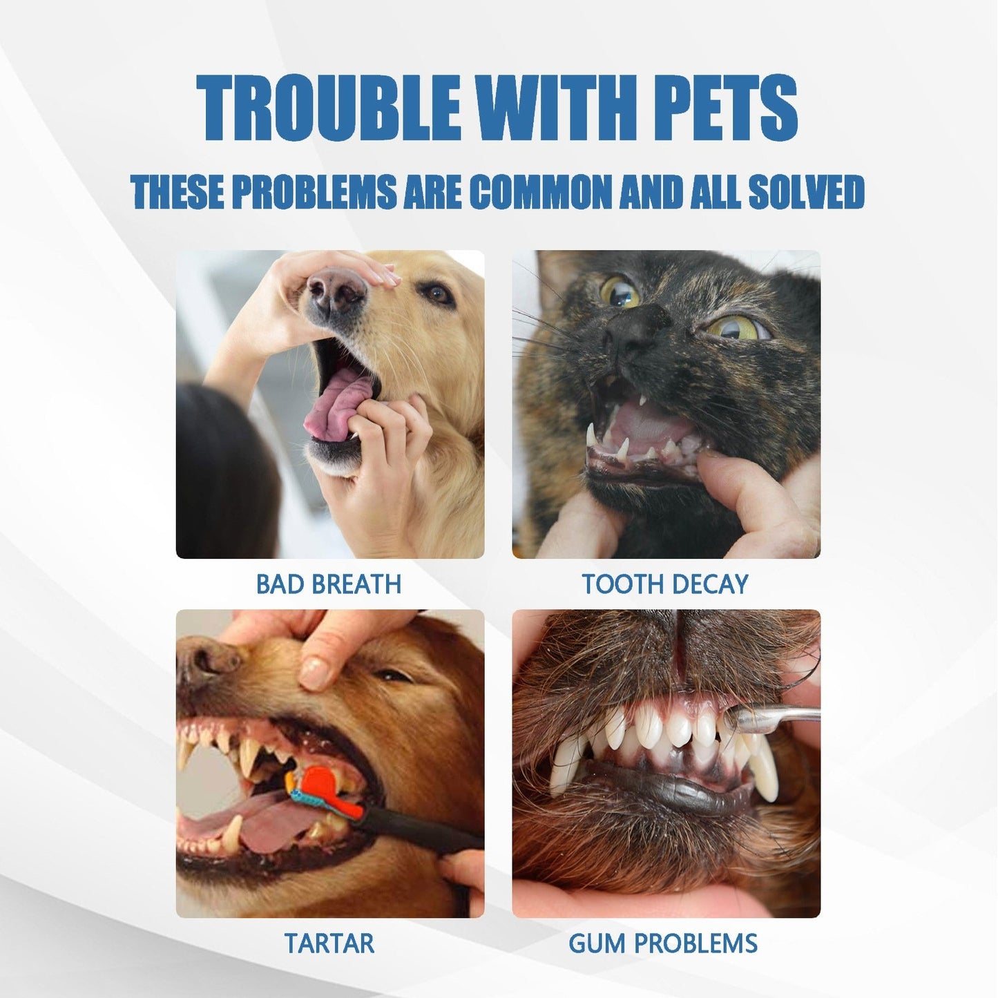 🔥Dog & Cat Tartar Remover Foam, Fresh Breath Oral Care Spray, Healthy Pet Teeth Without Brushing-8RH7