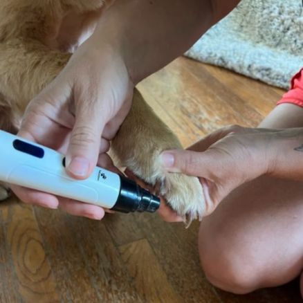 🏆2026 New Upgrade Silent Pet Trimmer - The Safer, Quieter Way To Trim Your Pet's Nails At Home-8RH7