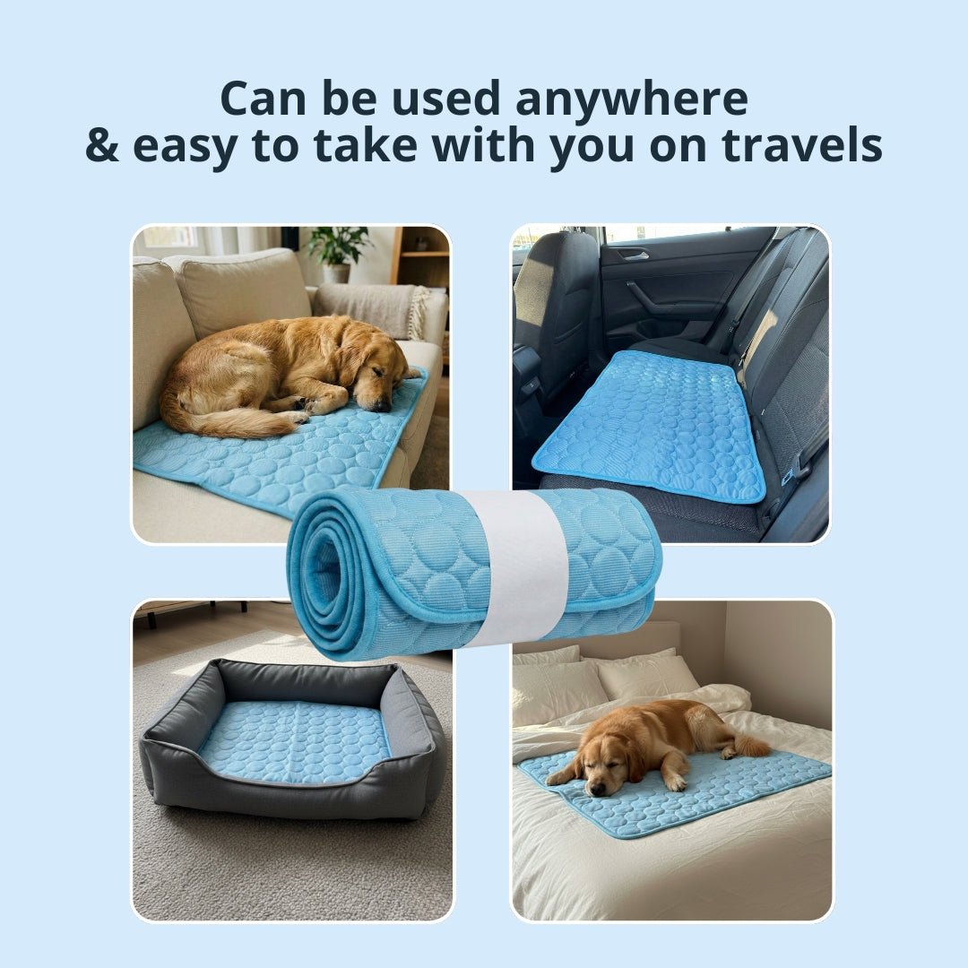 🐶🐈Pet Cooling Mat for Dogs & Cats🐶🐈| No Water No Electricity Self Cooling Pad, Non-Gel Toxic-Free Quick Dry Washable Cool Bed Prevents Pet Heatstroke for Hot Summer Days🥵-8HJ9