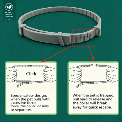 🔥 50% OFF Today 🐾Premium Natural Flea & Tick Protection Collar for Dogs & Cats – 60 Days Waterproof Botanical Defense-8YF7