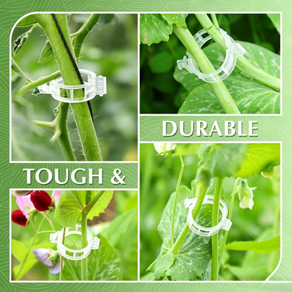 🥦🌽Secured Plastic Plant Clips🥕| Reusable Vine & Stem Support, Weatherproof Garden Clips for Tomato, Cucumber & Climbing Plants🥒🍅-8HJ9