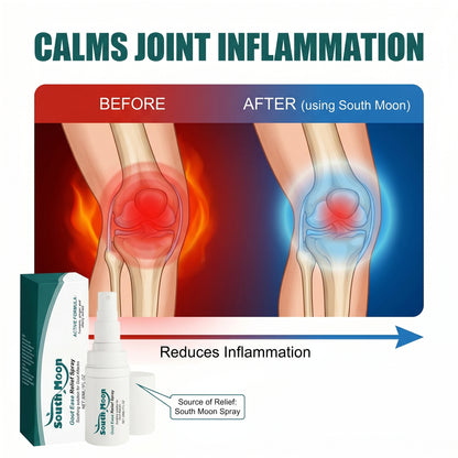 🔥Hot  | 30k+ Sold✅【GoutEase Relief Spray】Targeted relief from gout pain, penetrates deeply to calm inflammation, break down uric acid-8SA8