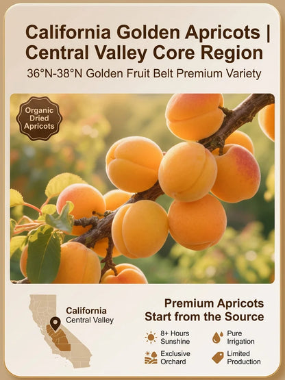 California Specialty Dried Apricots-Ray
