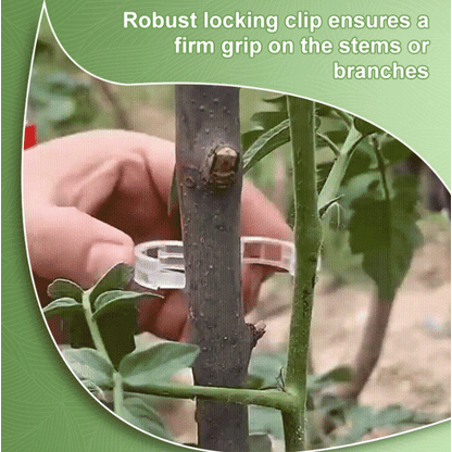 🥦🌽Secured Plastic Plant Clips🥕| Reusable Vine & Stem Support, Weatherproof Garden Clips for Tomato, Cucumber & Climbing Plants🥒🍅-8HJ9