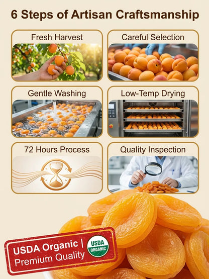 California Specialty Dried Apricots-Ray