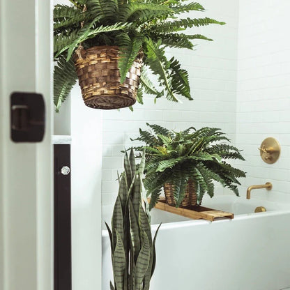 🏡【Chosen by millions of families🏆】Artificial Hanging Fern Plant🌿 – Effortless Greenery for Home & Garden,Beautify your living space-8SA8