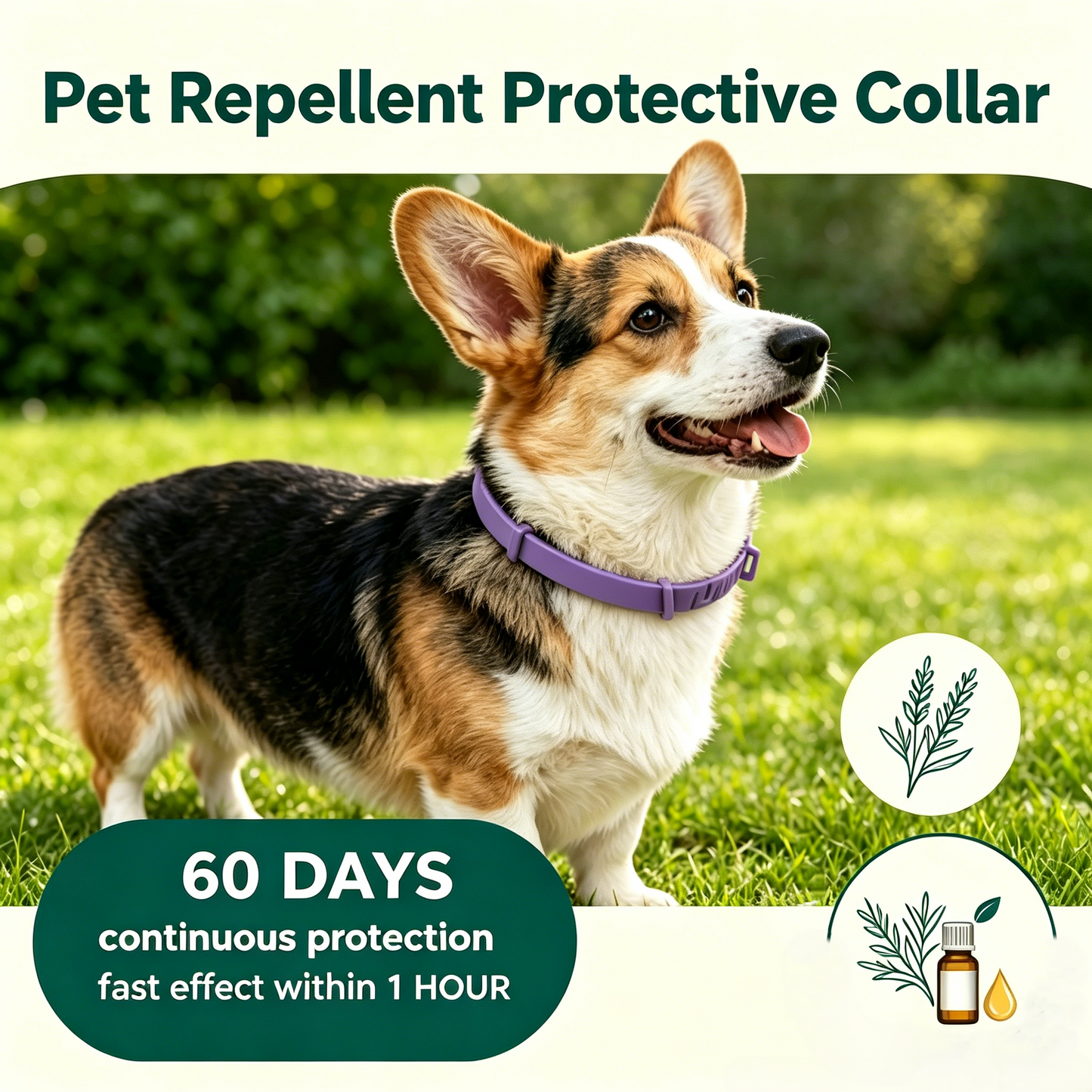 🔥 50% OFF Today 🐾Premium Natural Flea & Tick Protection Collar for Dogs & Cats – 60 Days Waterproof Botanical Defense-8YF7