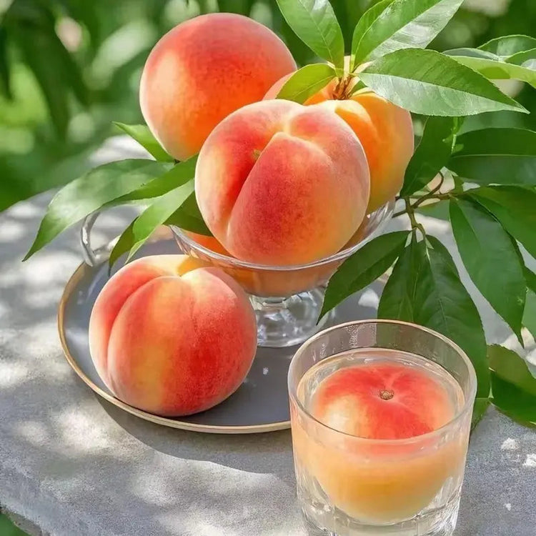 🔥 65K+ SOLD! 🍑 Heirloom "Honey Red" Dwarf Peach Tree Live Seeds -8CR5