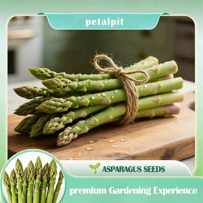 🌿Four Seasons Asparagus Mary Washington Seeds – Perennial, Tender, Nutrient-8CR5