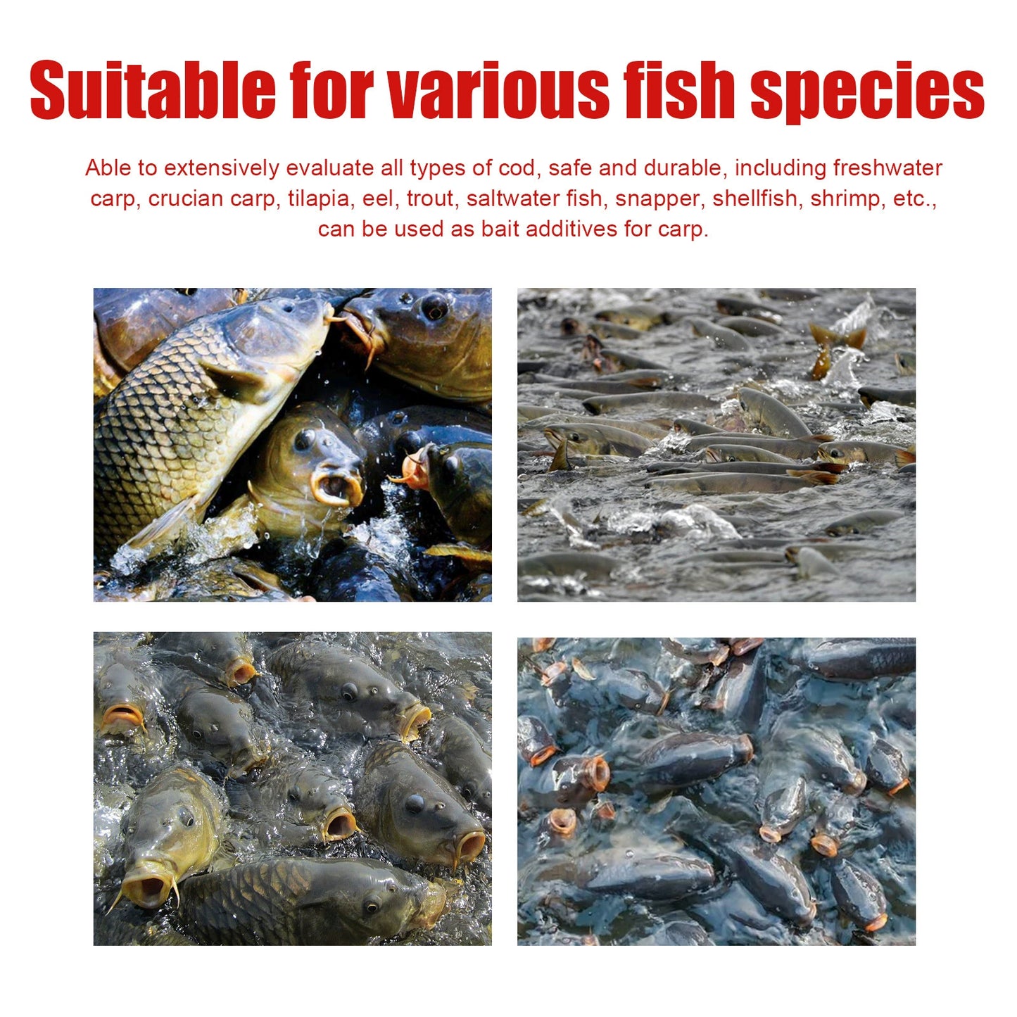 🐟【Crazy Pull & Explosive Protection】 Concentrated Red Worm Fishing Liquid, Strong Fish Attraction, Rapid Nesting & Fish Gathering, Universal Small Additive for Wild Fishing & Black Pits-8SA8