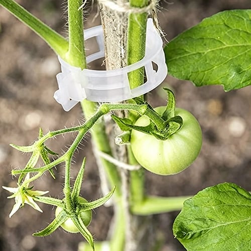 🥦🌽Secured Plastic Plant Clips🥕| Reusable Vine & Stem Support, Weatherproof Garden Clips for Tomato, Cucumber & Climbing Plants🥒🍅-8HJ9