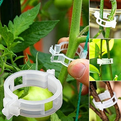 🥦🌽Secured Plastic Plant Clips🥕| Reusable Vine & Stem Support, Weatherproof Garden Clips for Tomato, Cucumber & Climbing Plants🥒🍅-8HJ9